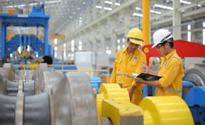 mua tôn màu hoa sen Đồng Nai